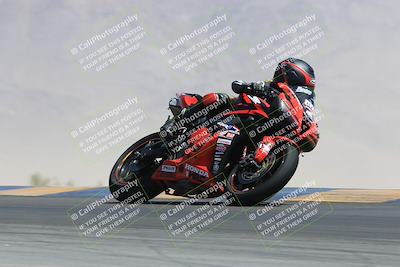 media/May-13-2023-SoCal Trackdays (Sat) [[8a473a8fd1]]/Turn 9 (11am)/